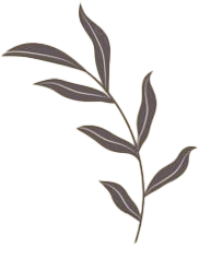 Self-Care Coaching